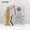 ΠΛΑΚΕΤΑ PLEXIGLASS: PLΑ-0051