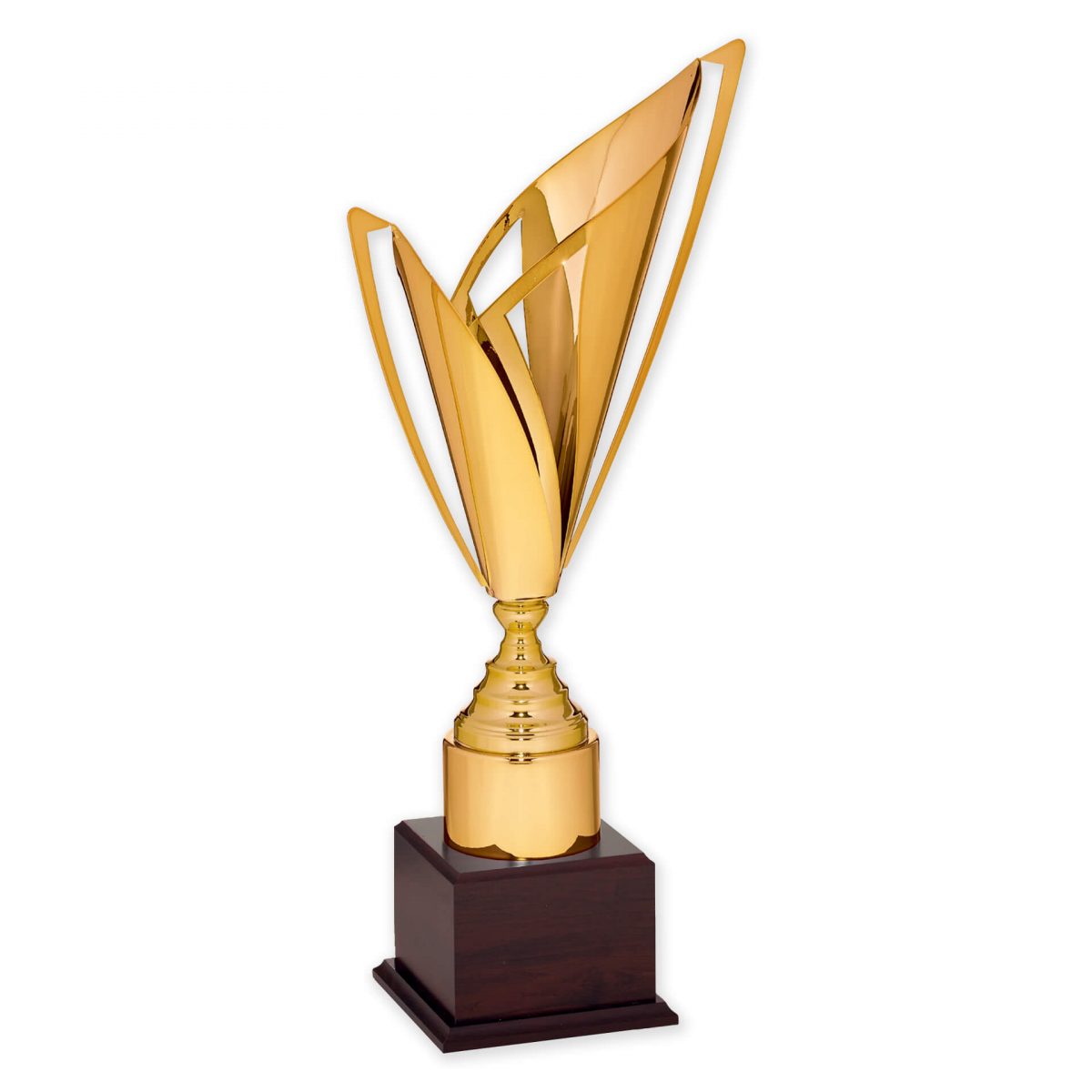 ΚΥΠΕΛΛΟ: CUP01-0054